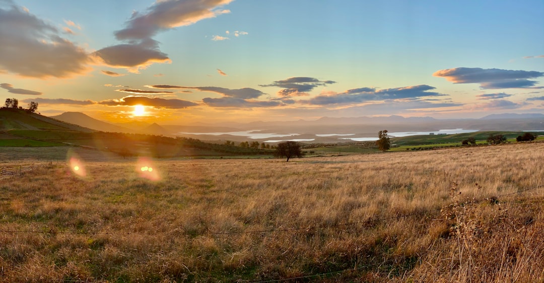 panoramic view of the Lares coffee region in Puerto Rico, terraced coffee farms cascading down mountain slopes, traditional rural architecture