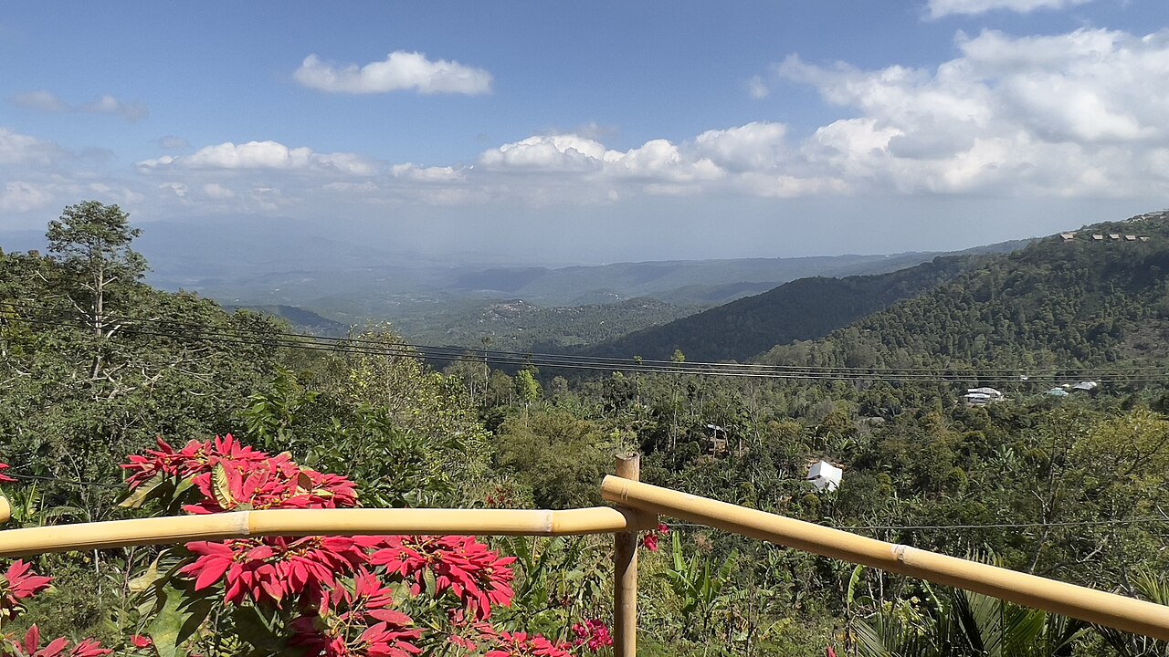 Puerto Rican coffee farm in Utuado with mountain terrain and traditional shade trees