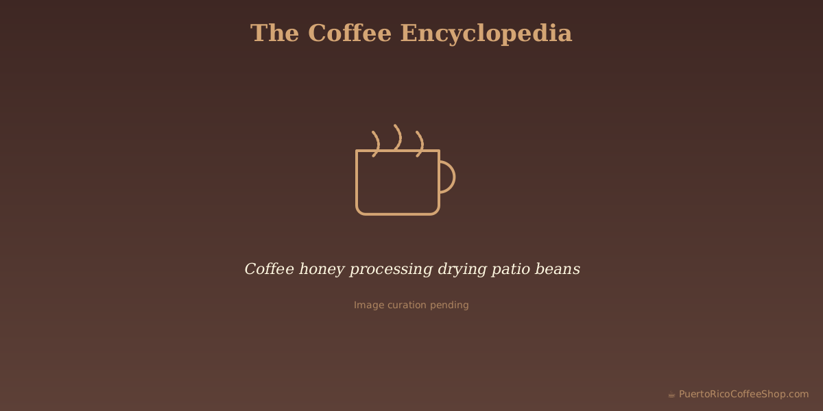 Coffee honey processing drying patio beans