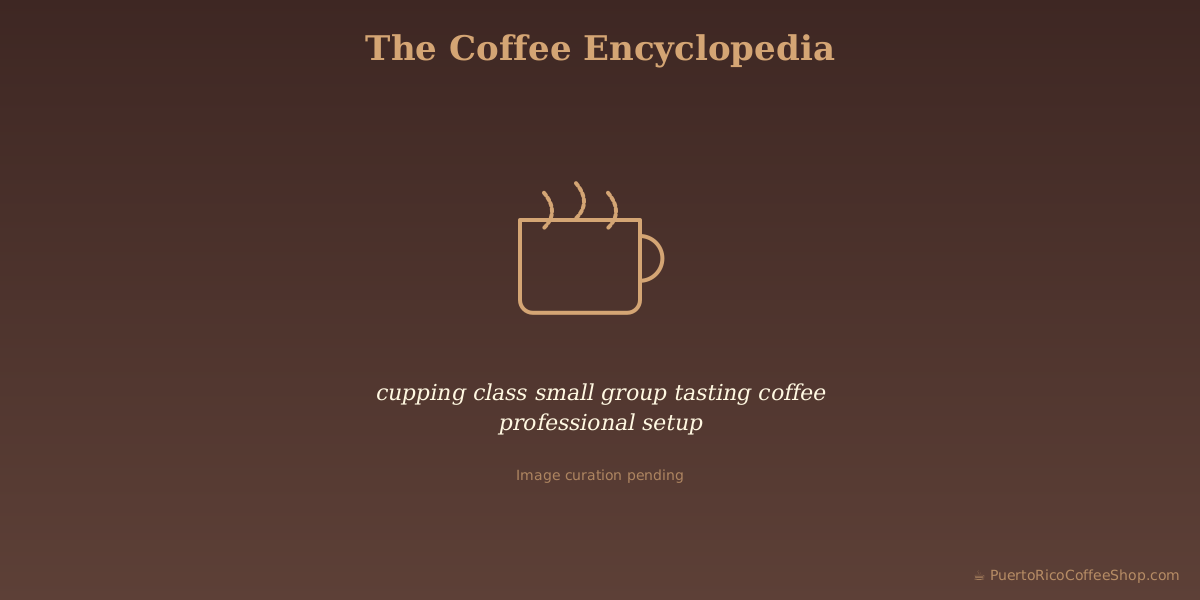 cupping class small group tasting coffee professional setup