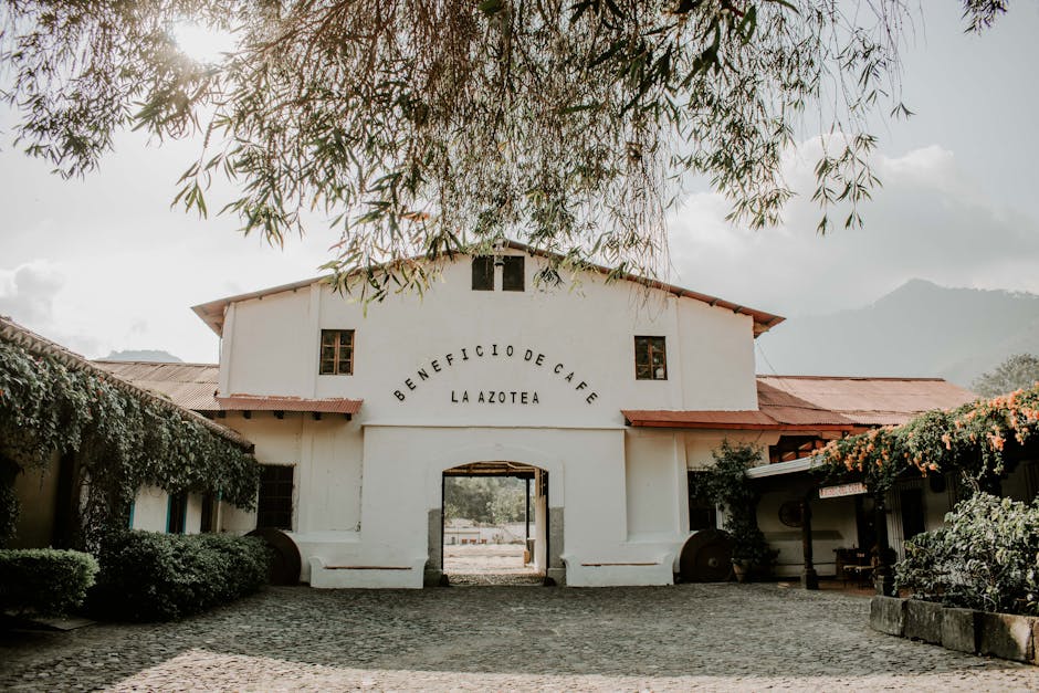 Historic Villalba coffee landscape showing traditional Puerto Rican mountain agriculture
