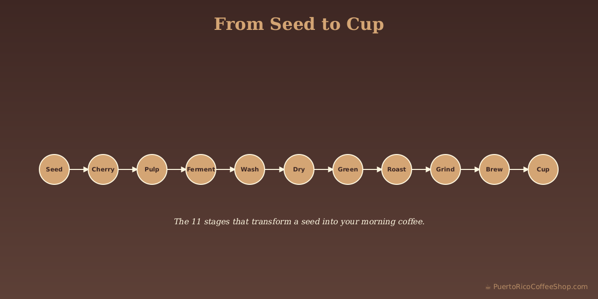 extraction yield diagram showing soluble compounds extracted in stages