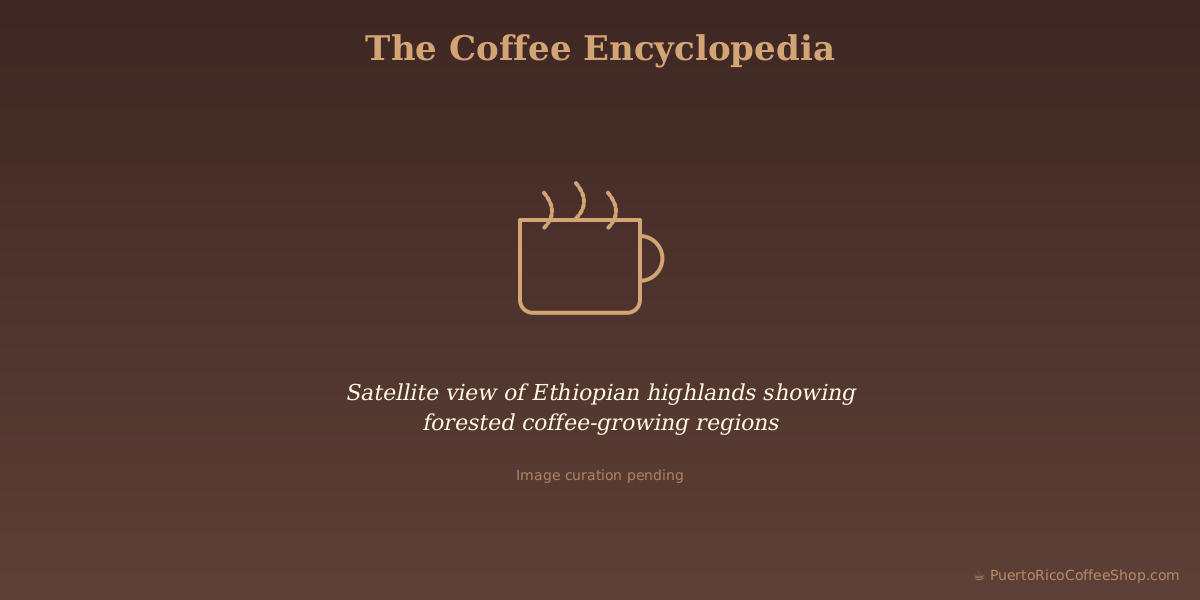 Satellite view of Ethiopian highlands showing forested coffee-growing regions