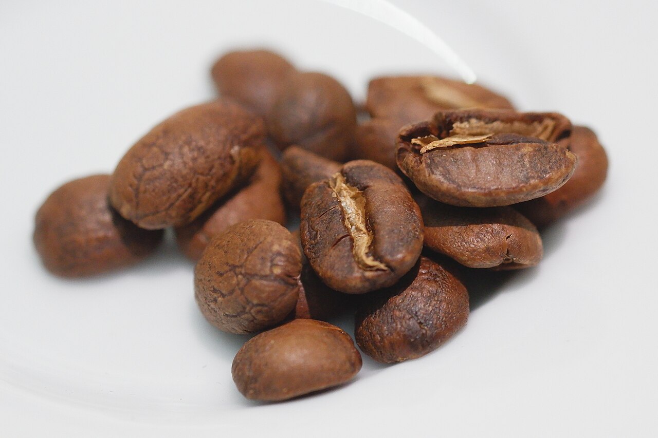 Typica coffee beans long slender shape