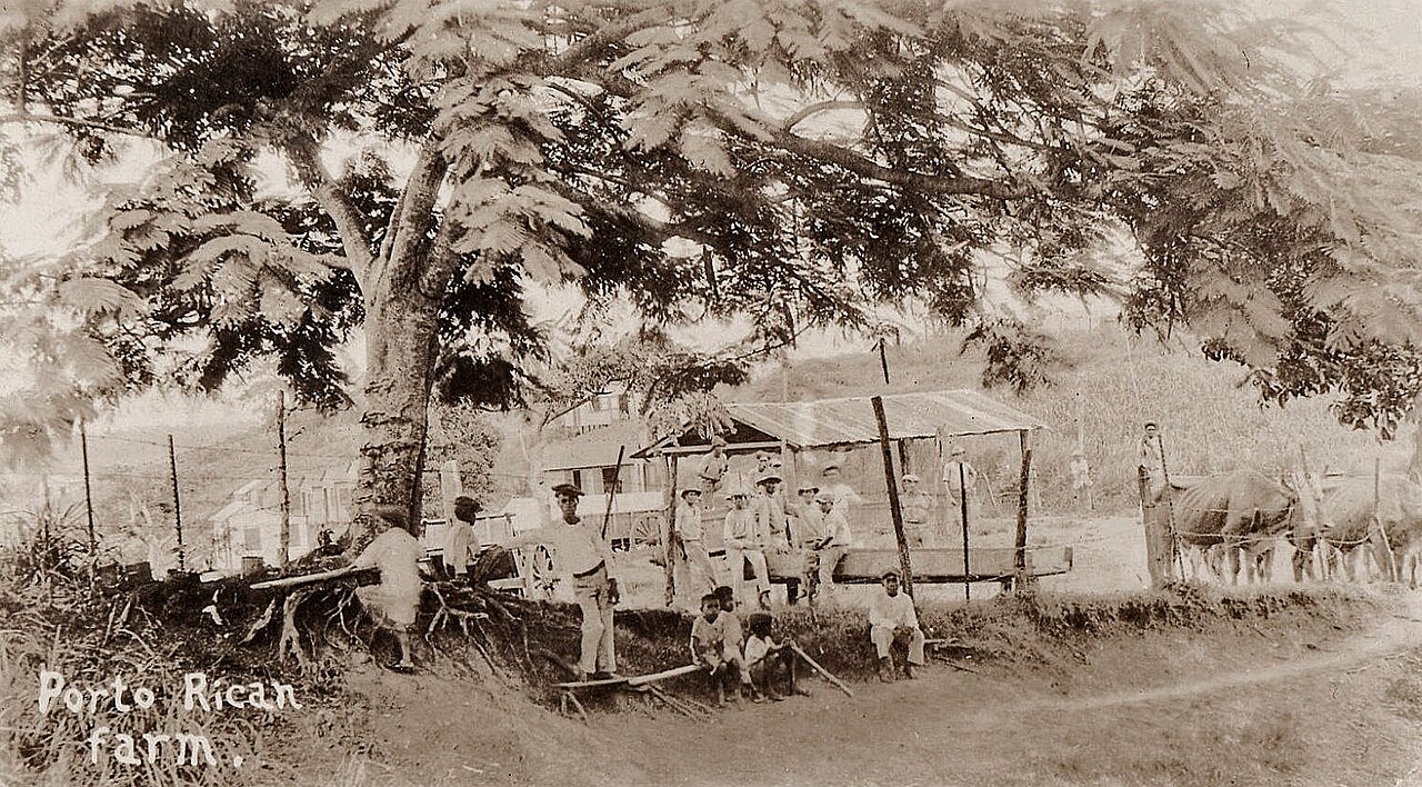 Historical photograph from 1899 showing Hurricane San Ciriaco damage to Puerto Rican farms (Wikimedia: Porto Rican Farm.jpg, Public domain)
