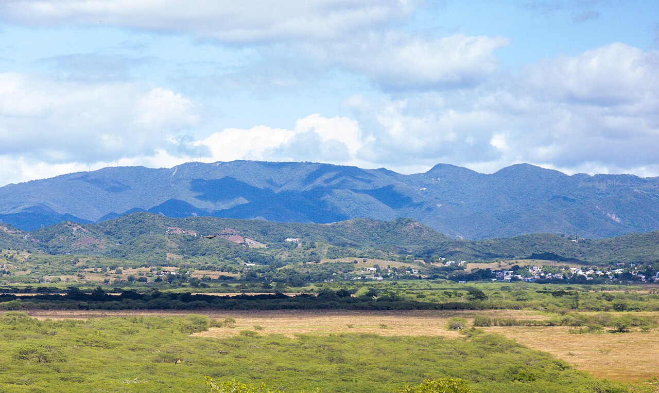 Maricao State Forest elfin cloud forest Puerto Rico