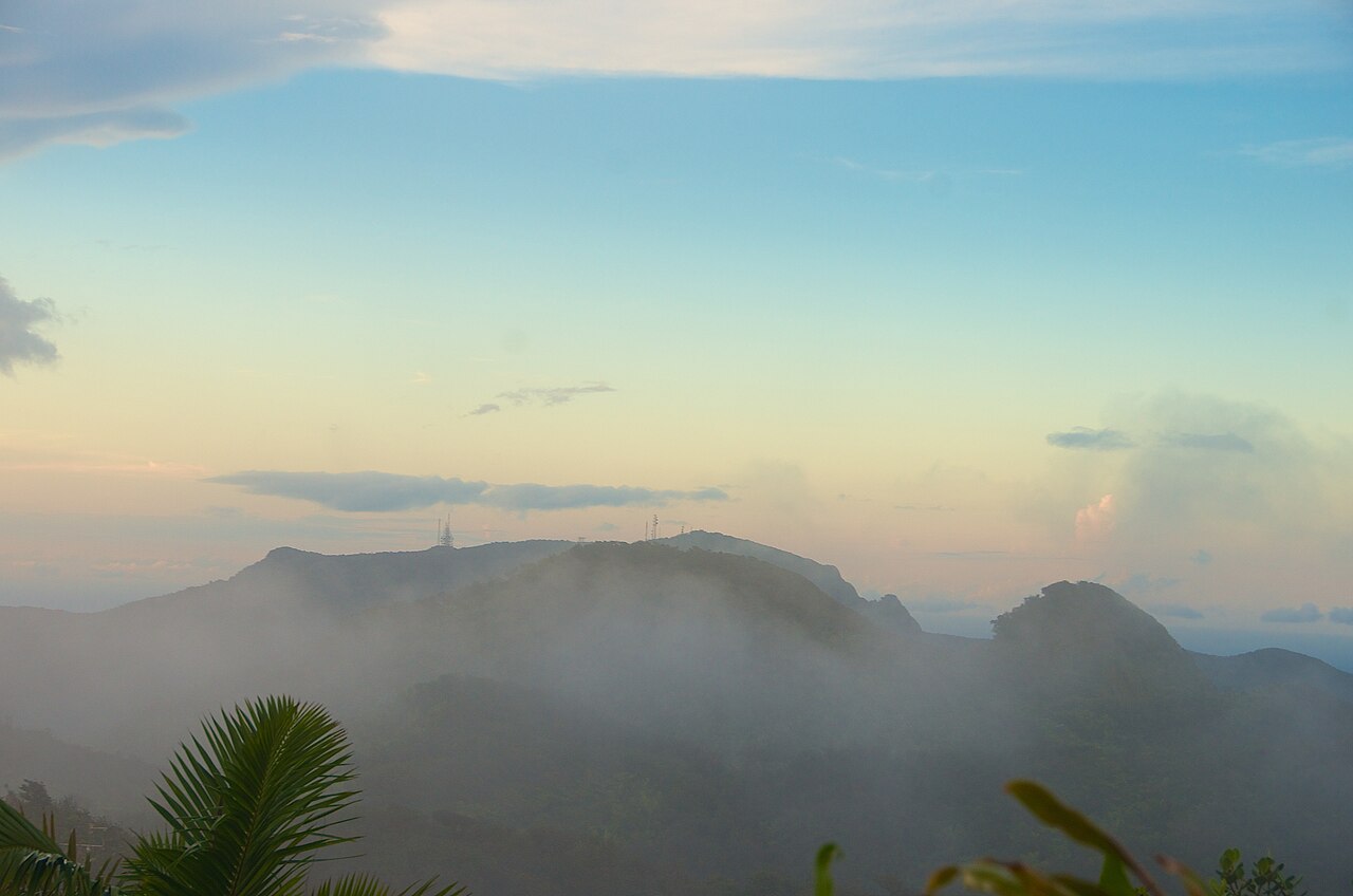 Puerto Rico cloud forest mountain mist coffee landscape