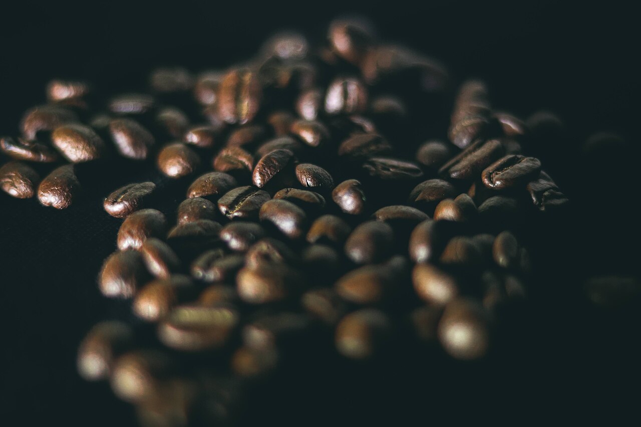 Coffee roasting green beans transformation colors