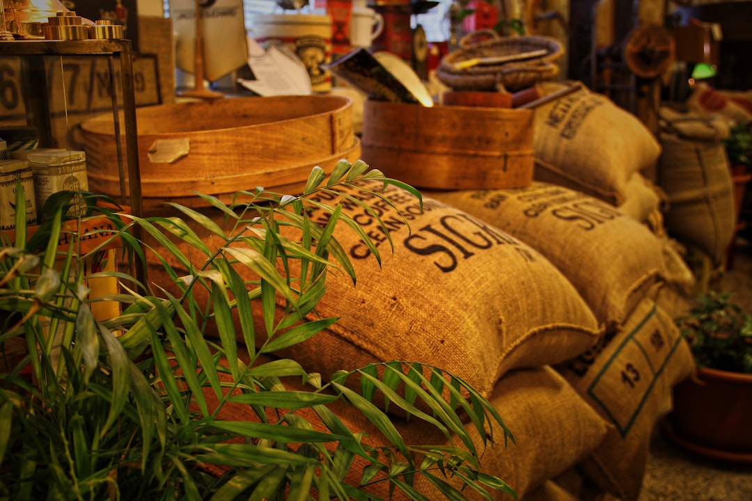 Puerto Rico coffee export heritage continuity past present future legacy