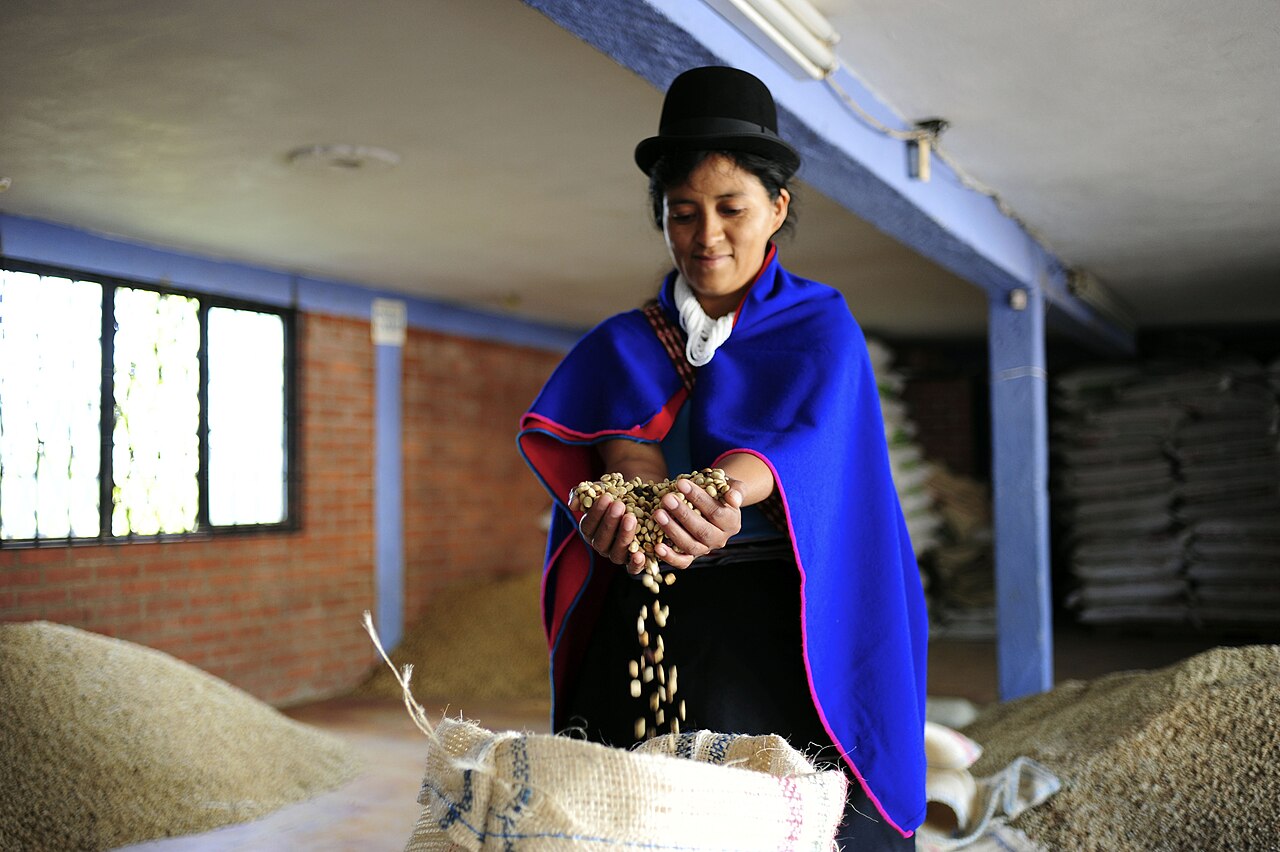 Puerto Rican coffee cooperative warehouse with bags of green coffee stacked and ready for export