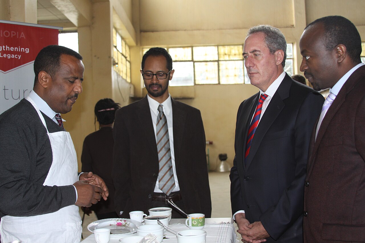 Professional coffee tasters evaluation sensory notes