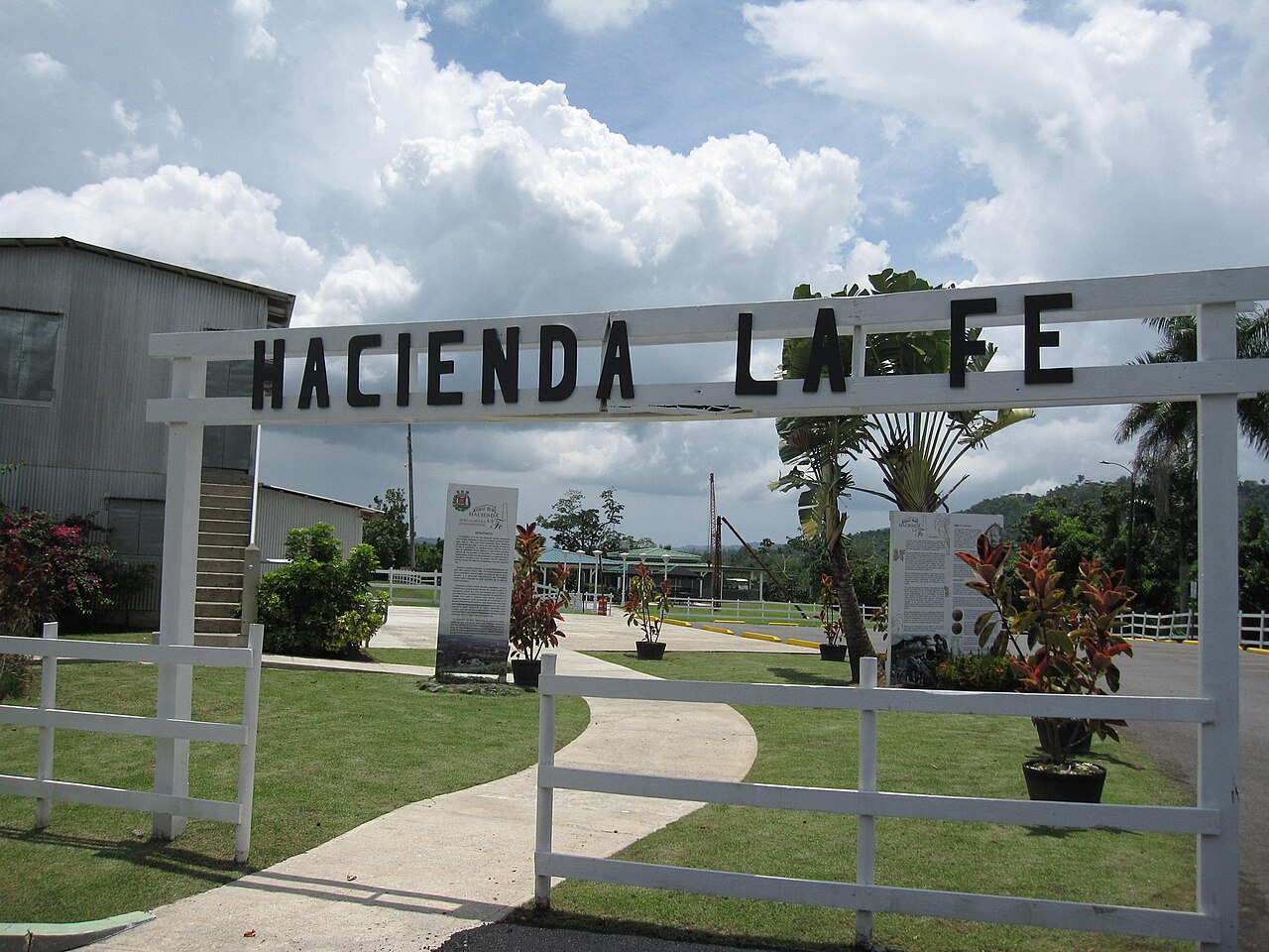 puerto rico hacienda san pedro the atienza family coffee legac landscape wide view