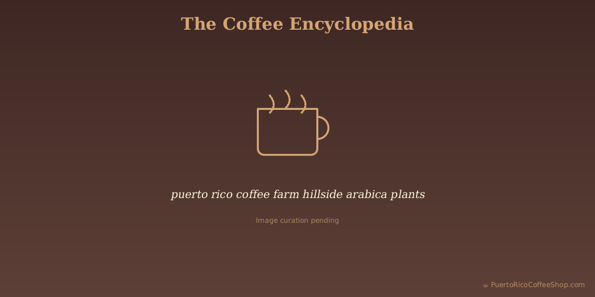puerto rico coffee farm hillside arabica plants