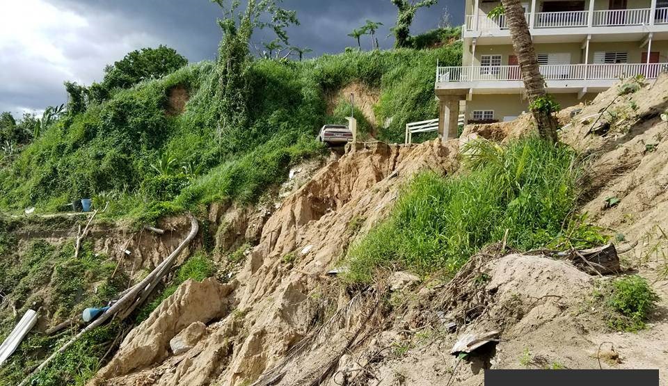 Puerto Rico Hurricane Maria coffee farm damage trees fallen
