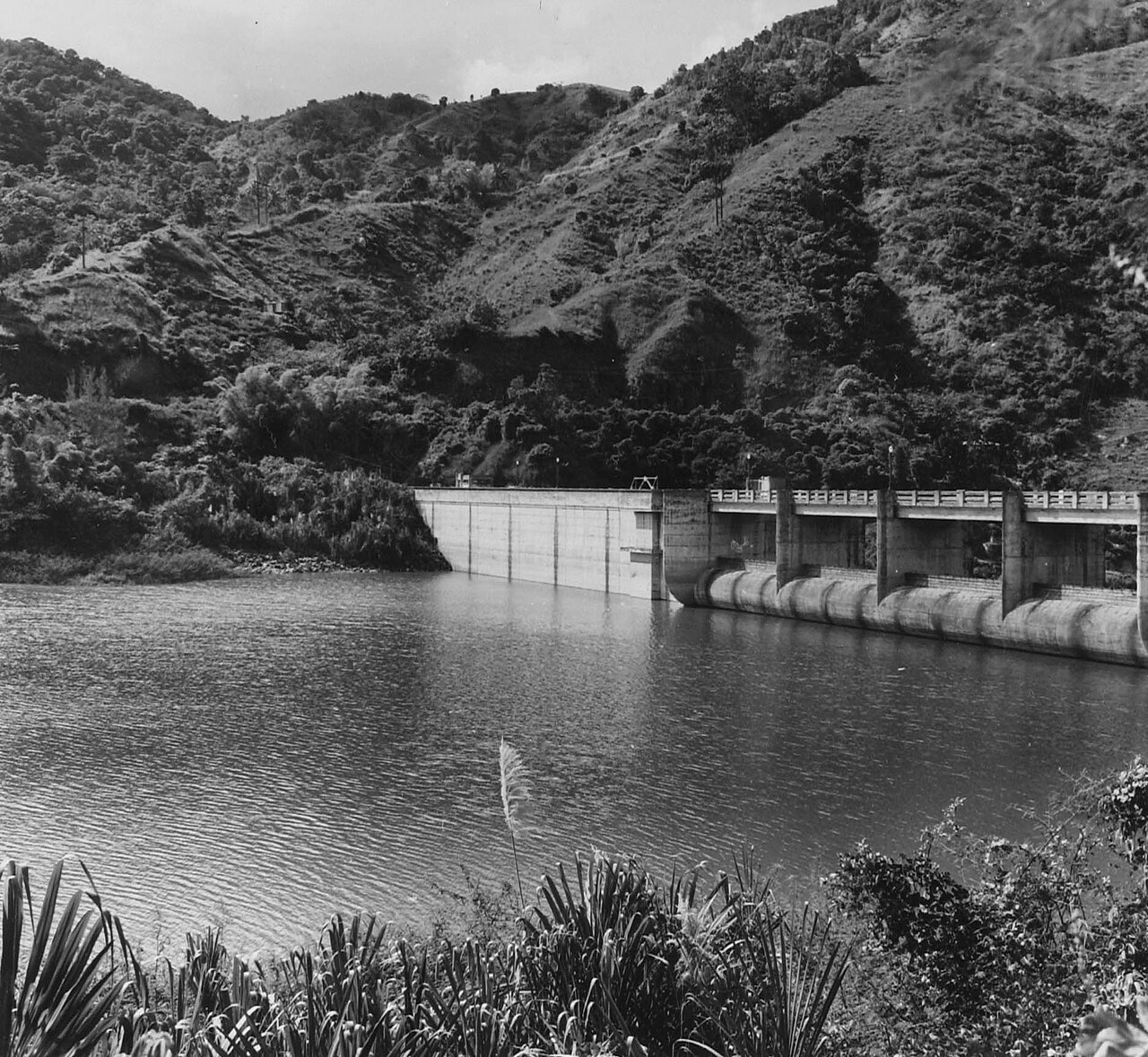 puerto rico utuado lake dos bocas