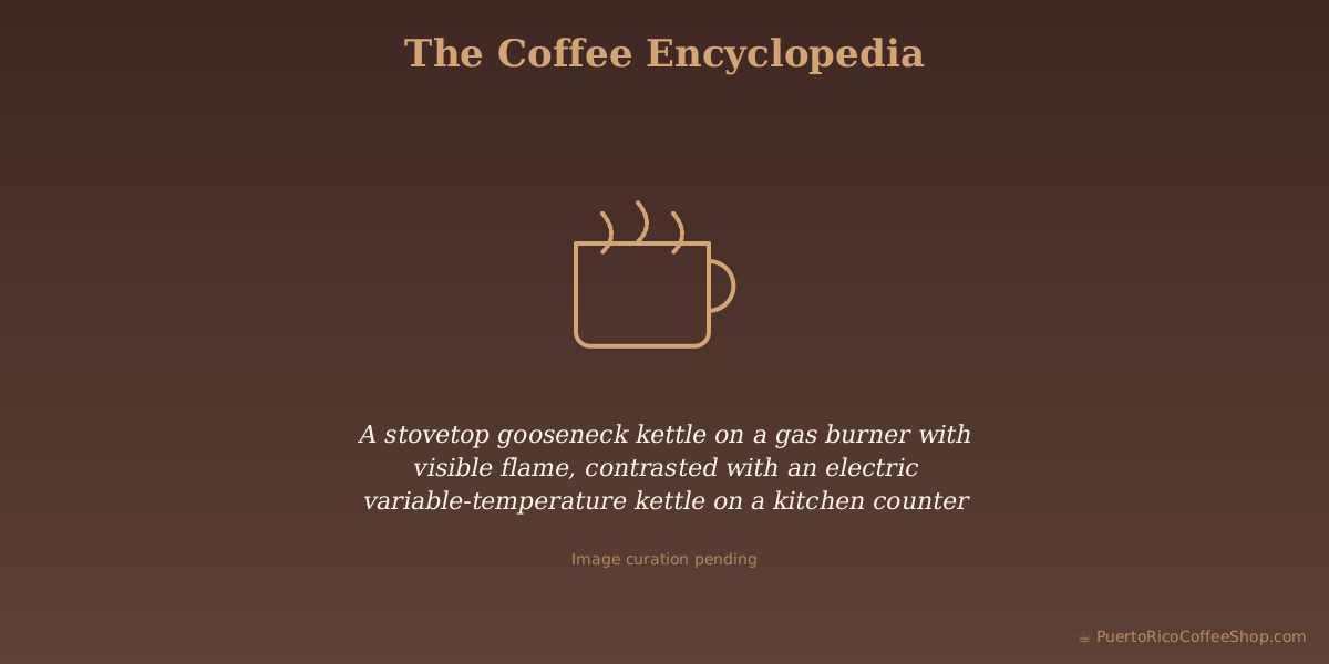 A stovetop gooseneck kettle on a gas burner with visible flame, contrasted with an electric variable-temperature kettle on a kitchen counter