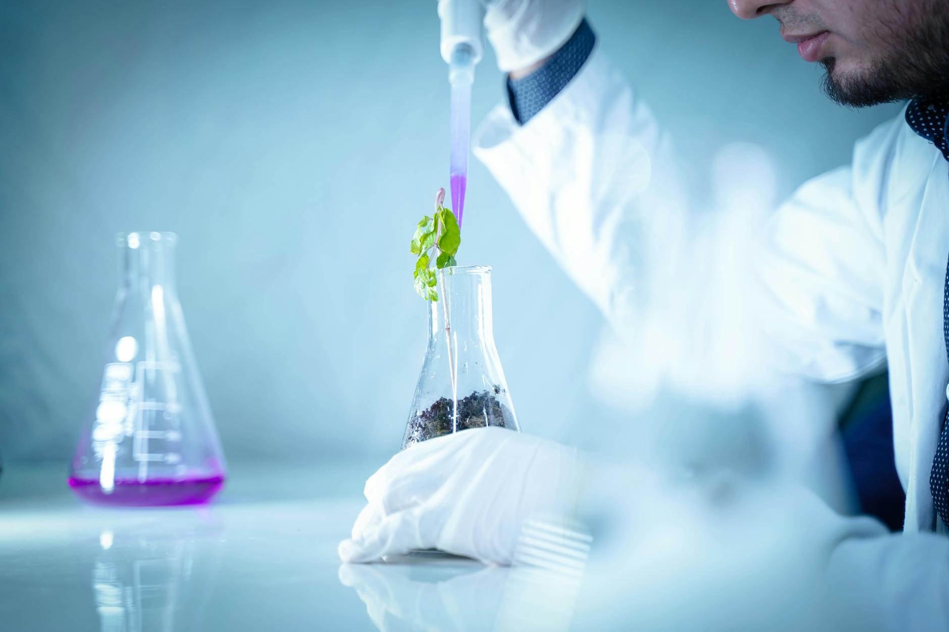 Coffee research laboratory scientist agricultural university Puerto Rico