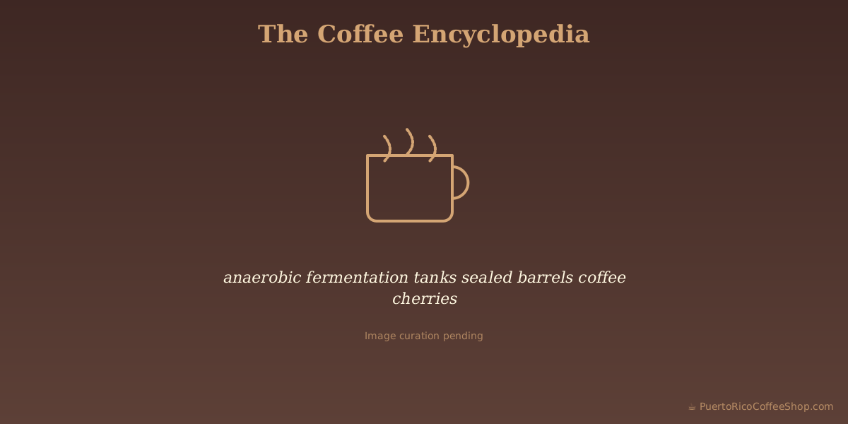 anaerobic fermentation tanks sealed barrels coffee cherries