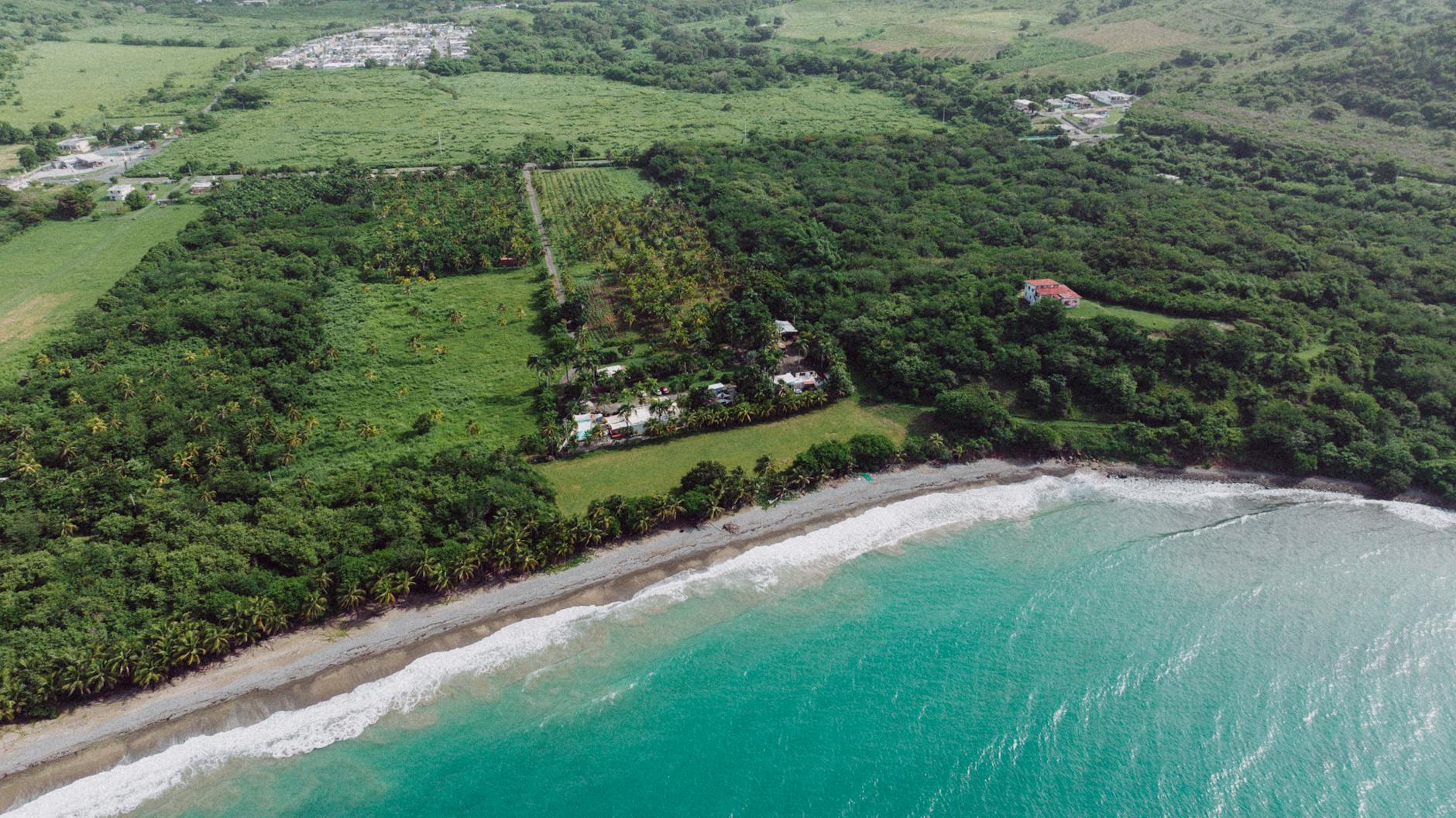 Coffee plantation aerial view Puerto Rico mountain agriculture sustainable