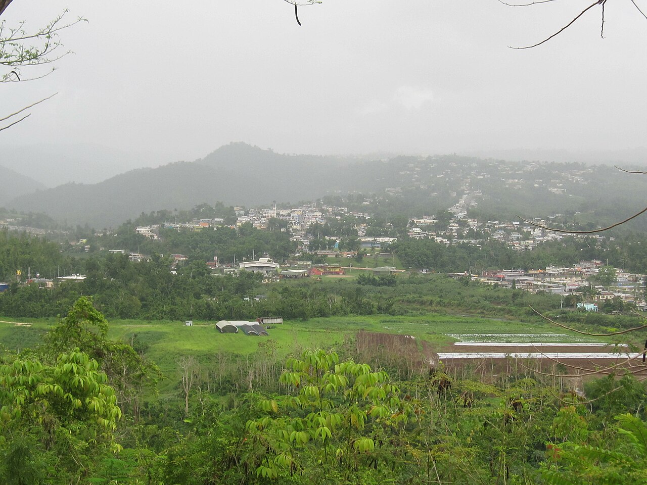 puerto rico ciales monumento jíbaro