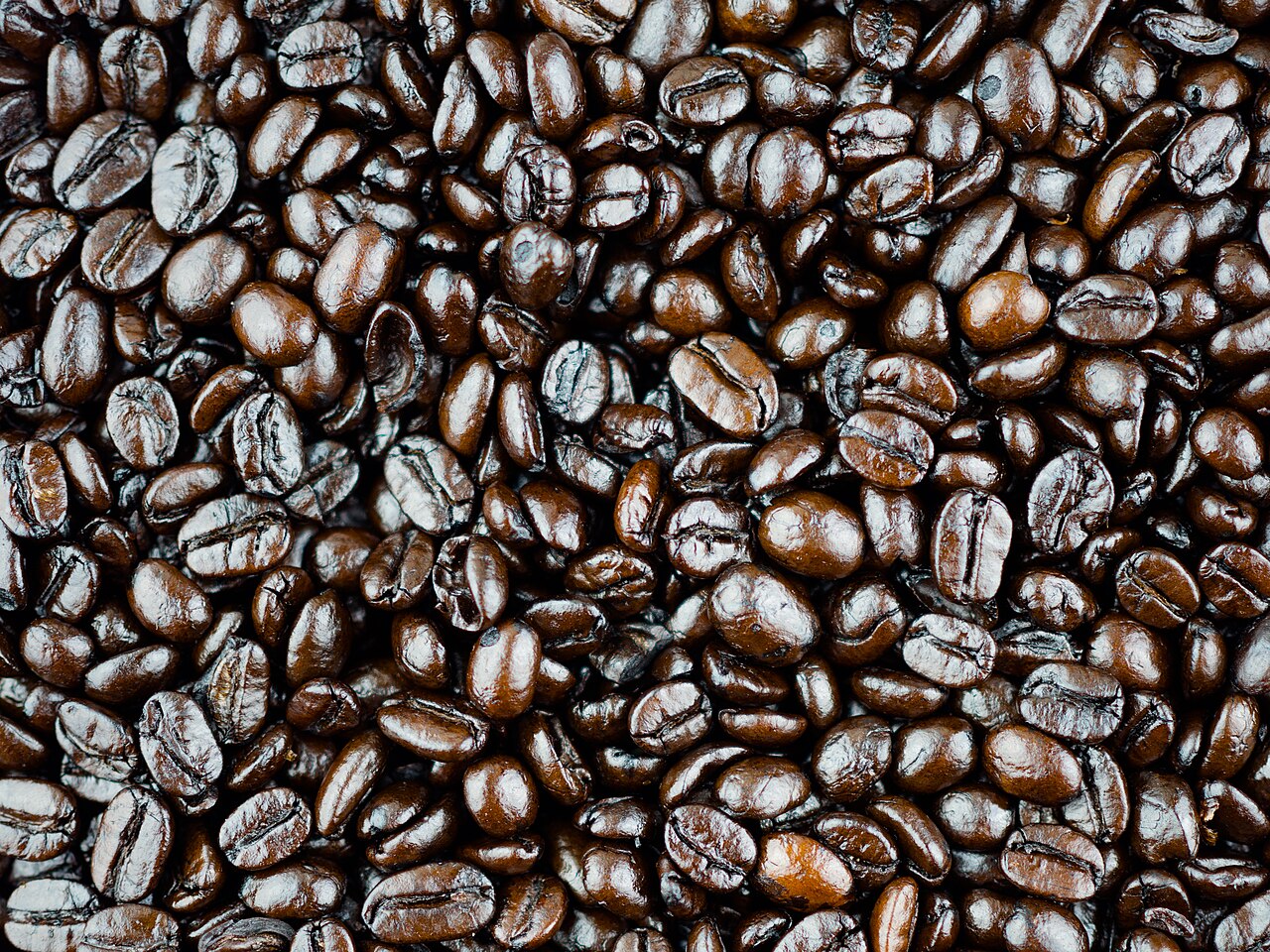 dark roast coffee beans dark brown oily