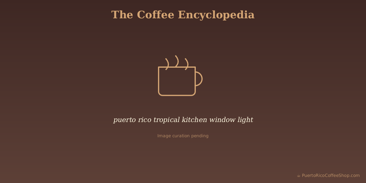 puerto rico tropical kitchen window light