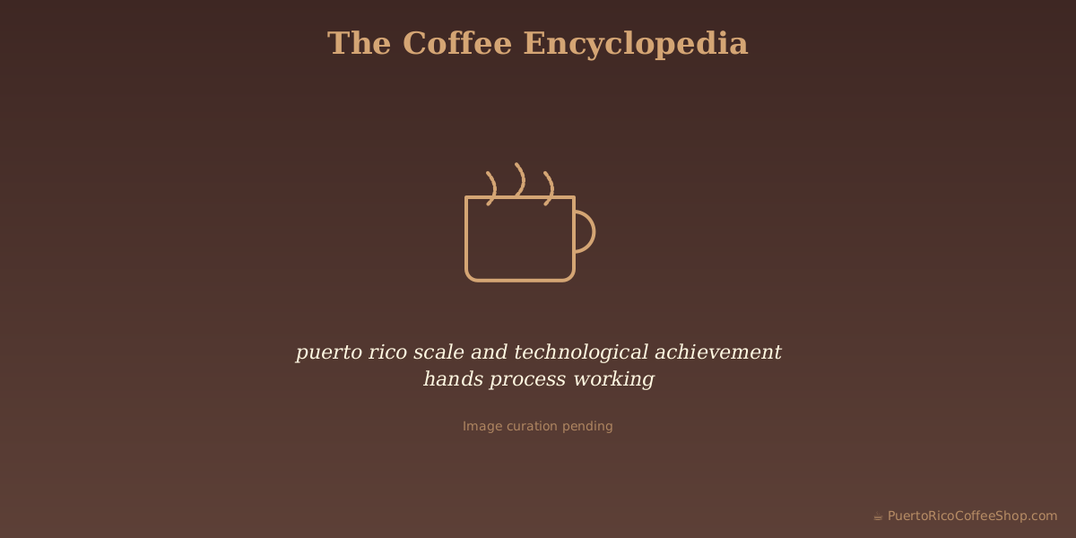 puerto rico scale and technological achievement hands process working