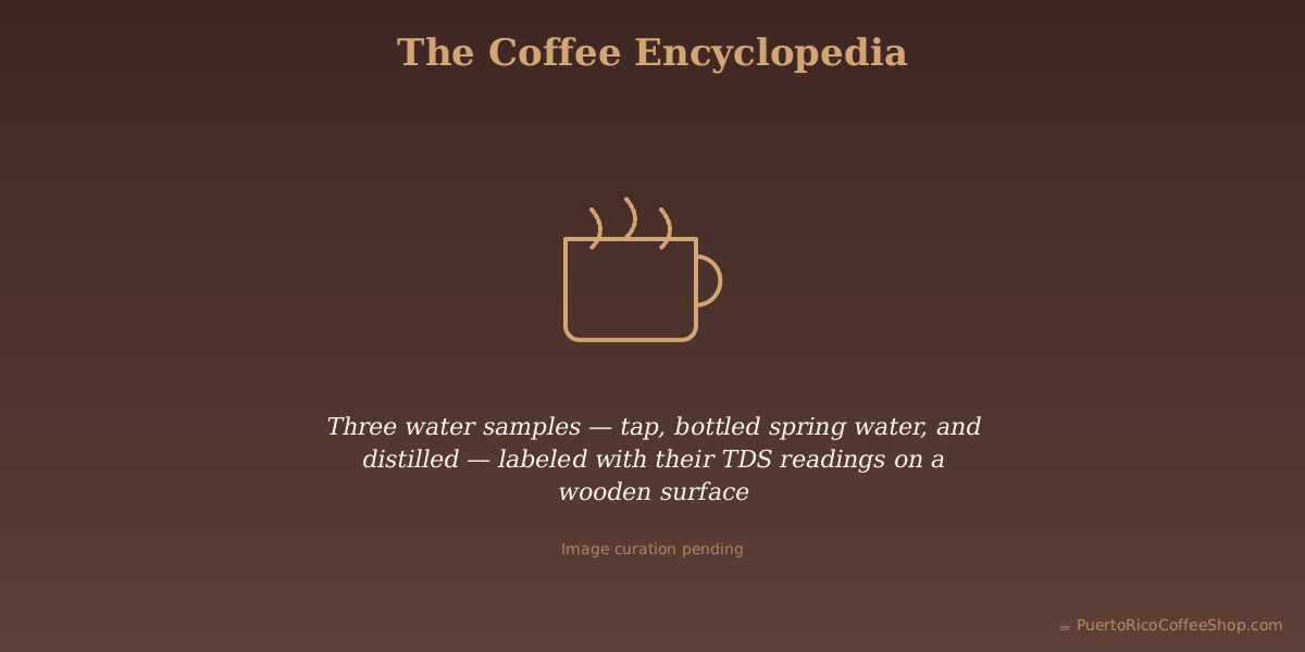 Three water samples — tap, bottled spring water, and distilled — labeled with their TDS readings on a wooden surface