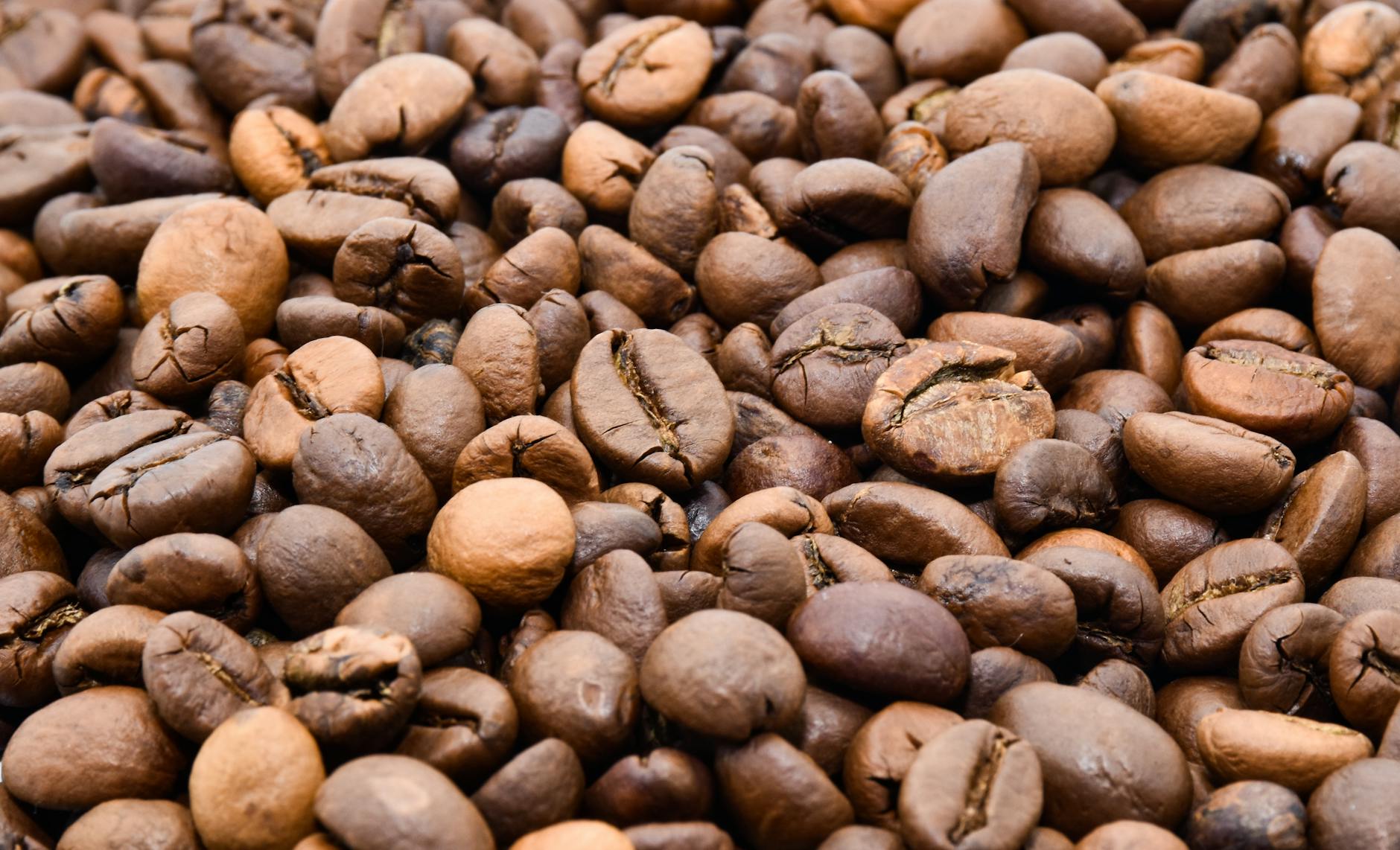 decaf green coffee beans natural processing close-up