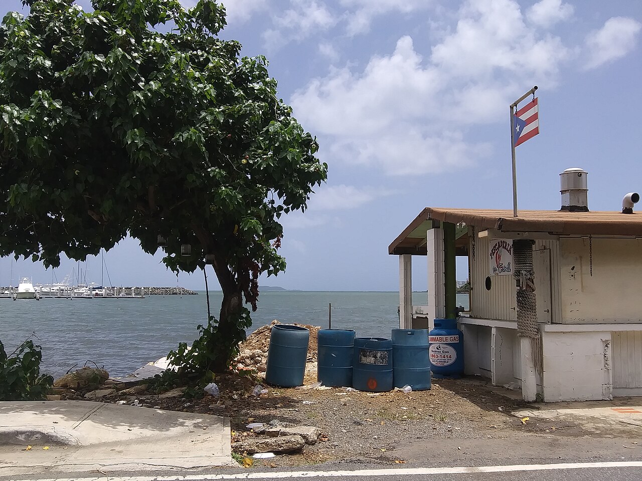 puerto rico international market position farmer harvest red cherries
