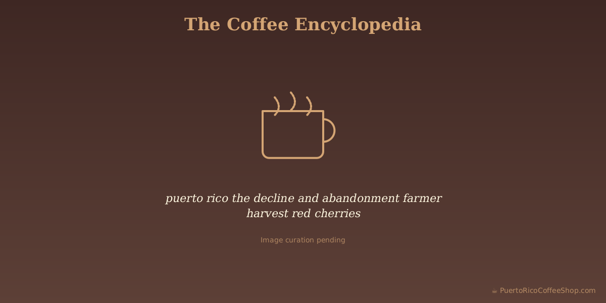 puerto rico the decline and abandonment farmer harvest red cherries