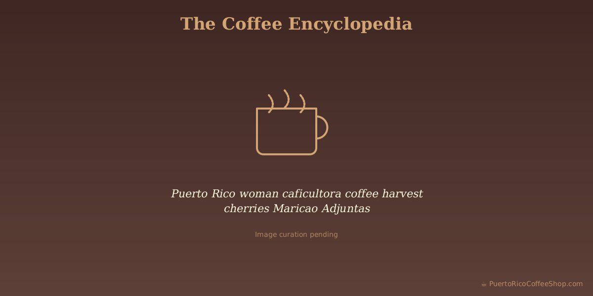 Puerto Rico woman caficultora coffee harvest cherries Maricao Adjuntas