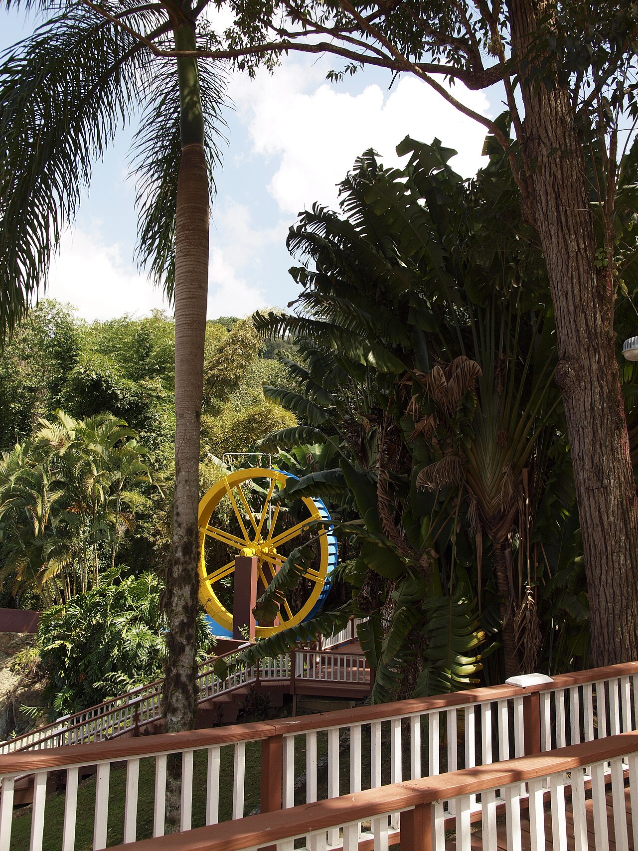 jayuya the coffee heart of puerto rico hands process working