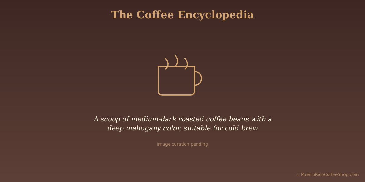 A scoop of medium-dark roasted coffee beans with a deep mahogany color, suitable for cold brew