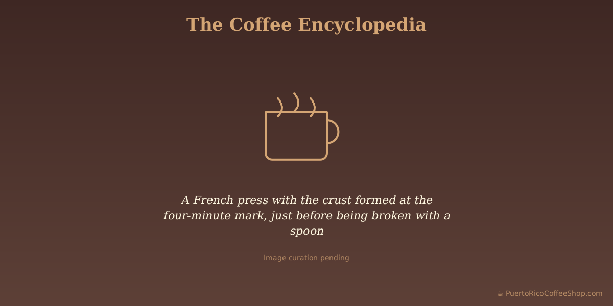 A French press with the crust formed at the four-minute mark, just before being broken with a spoon