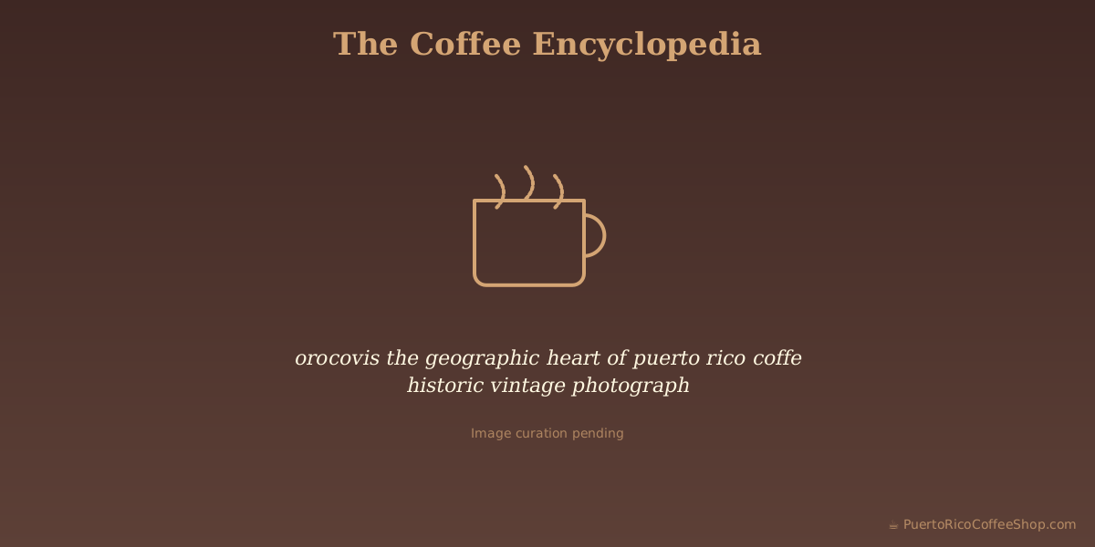 orocovis the geographic heart of puerto rico coffe historic vintage photograph