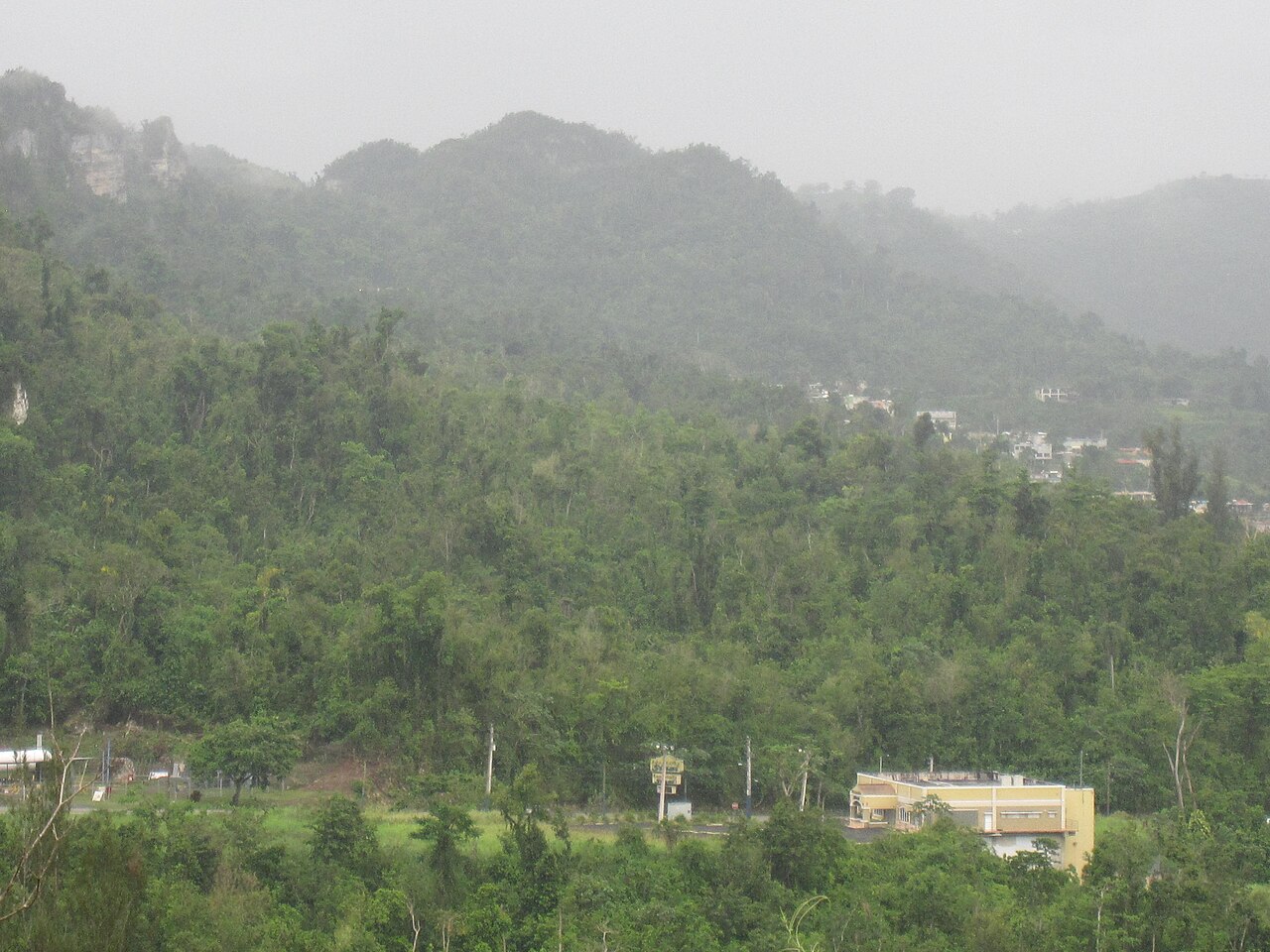 puerto rico ciales paseo lineal