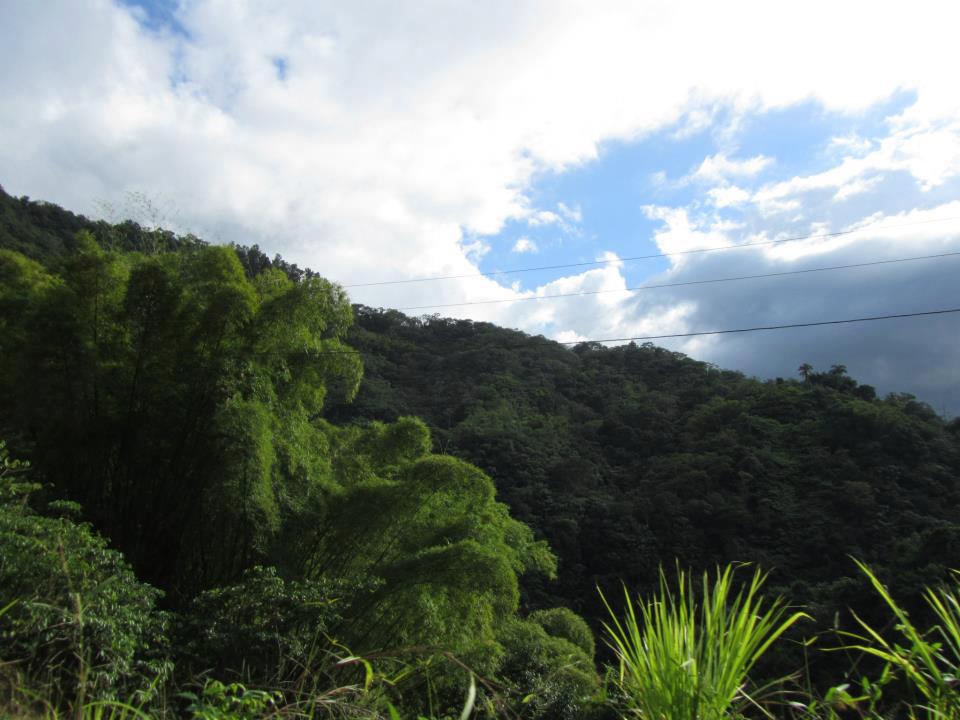Adjuntas Puerto Rico mountain coffee farm hacienda
