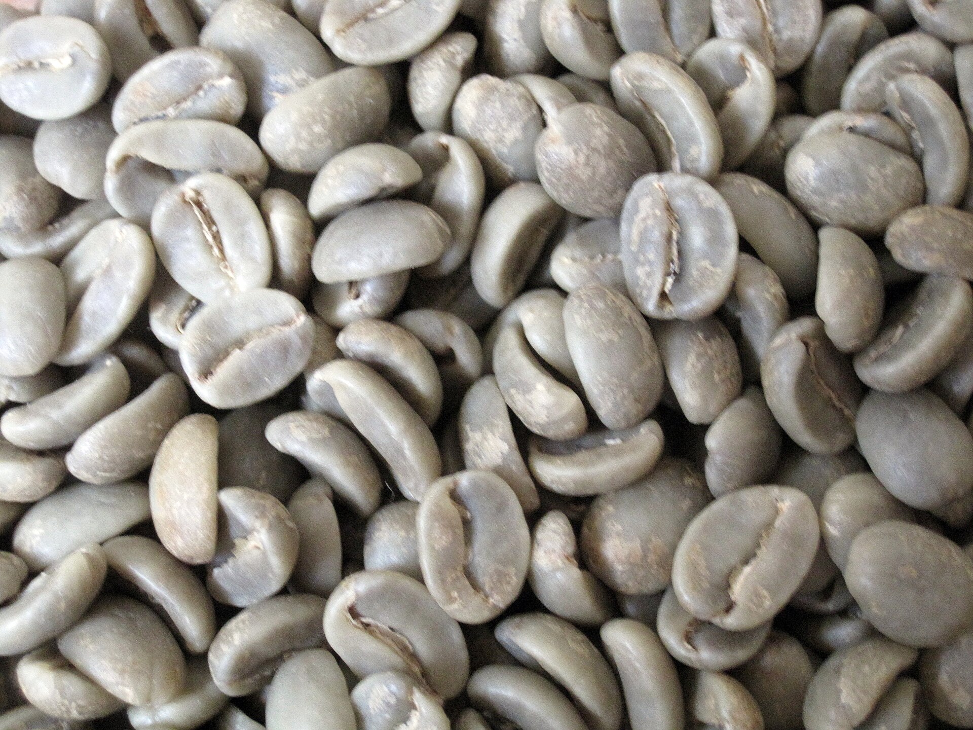 Close-up of green unroasted coffee beans, the form in which coffee is decaffeinated before roasting