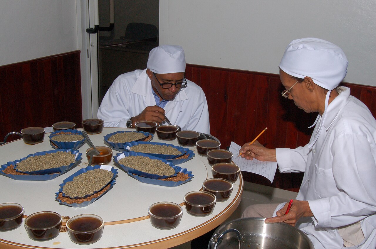 Two cuppers in white coats scoring a round table of cupping bowls beside trays of green coffee beans, recording results on paper forms