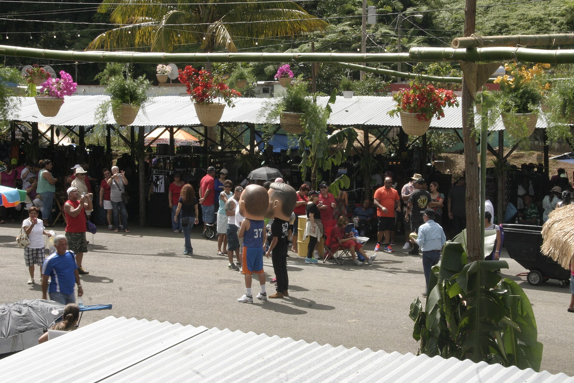 Crowds at the Fiesta del Acabe del Café, the end-of-harvest coffee festival in Maricao, Puerto Rico, 2014