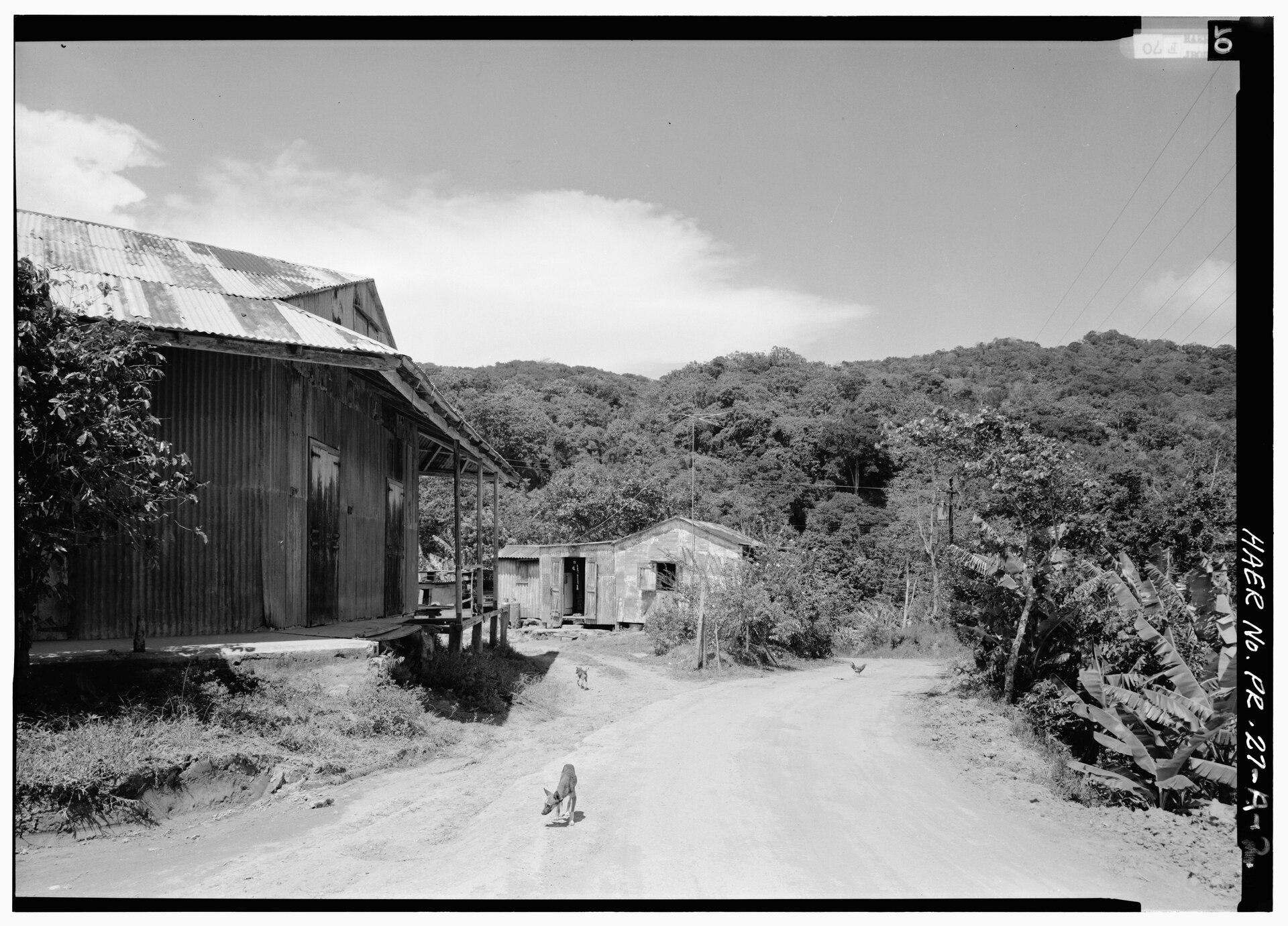 Entrance to the Hacienda Santa Clara plantation complex, Barrio Río Prieto, Yauco, Puerto Rico — Historic American Engineering Record survey photograph
