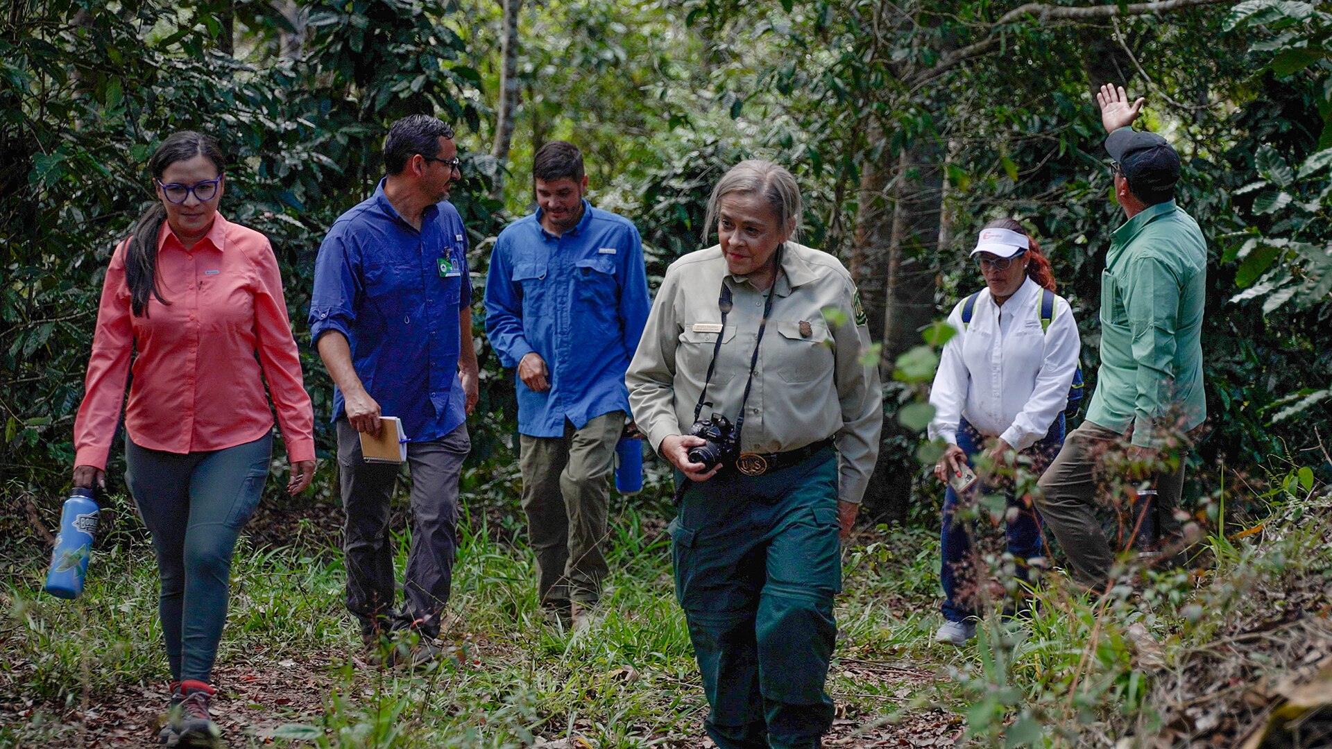 A guided group of visitors walking a trail through the coffee rows of a working Puerto Rico mountain coffee farm