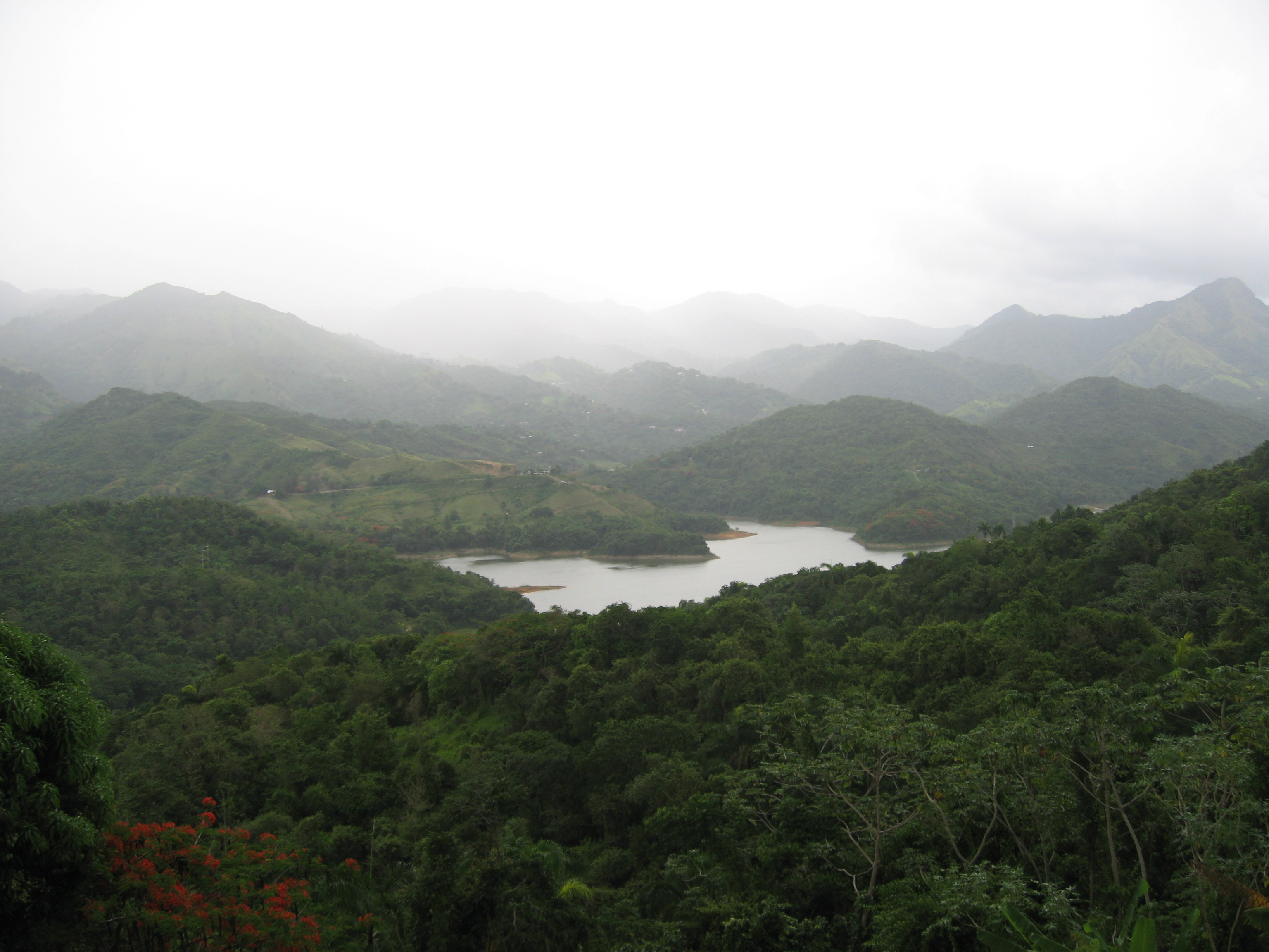 Forested mountains and reservoir in Yauco, Puerto Rico, the island's principal coffee district