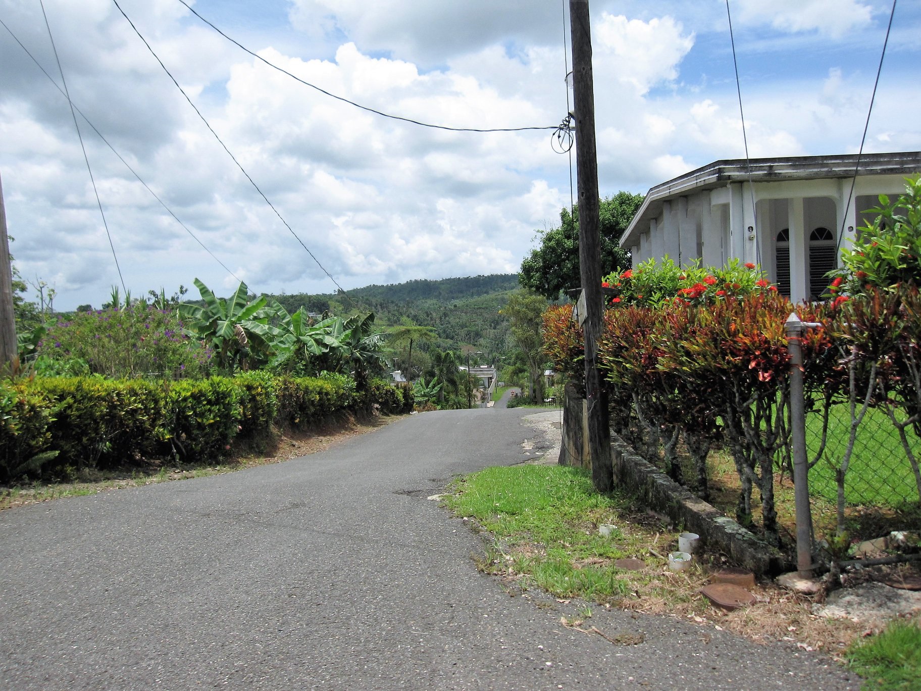 A rural road through the hills of San Sebastian, Puerto Rico