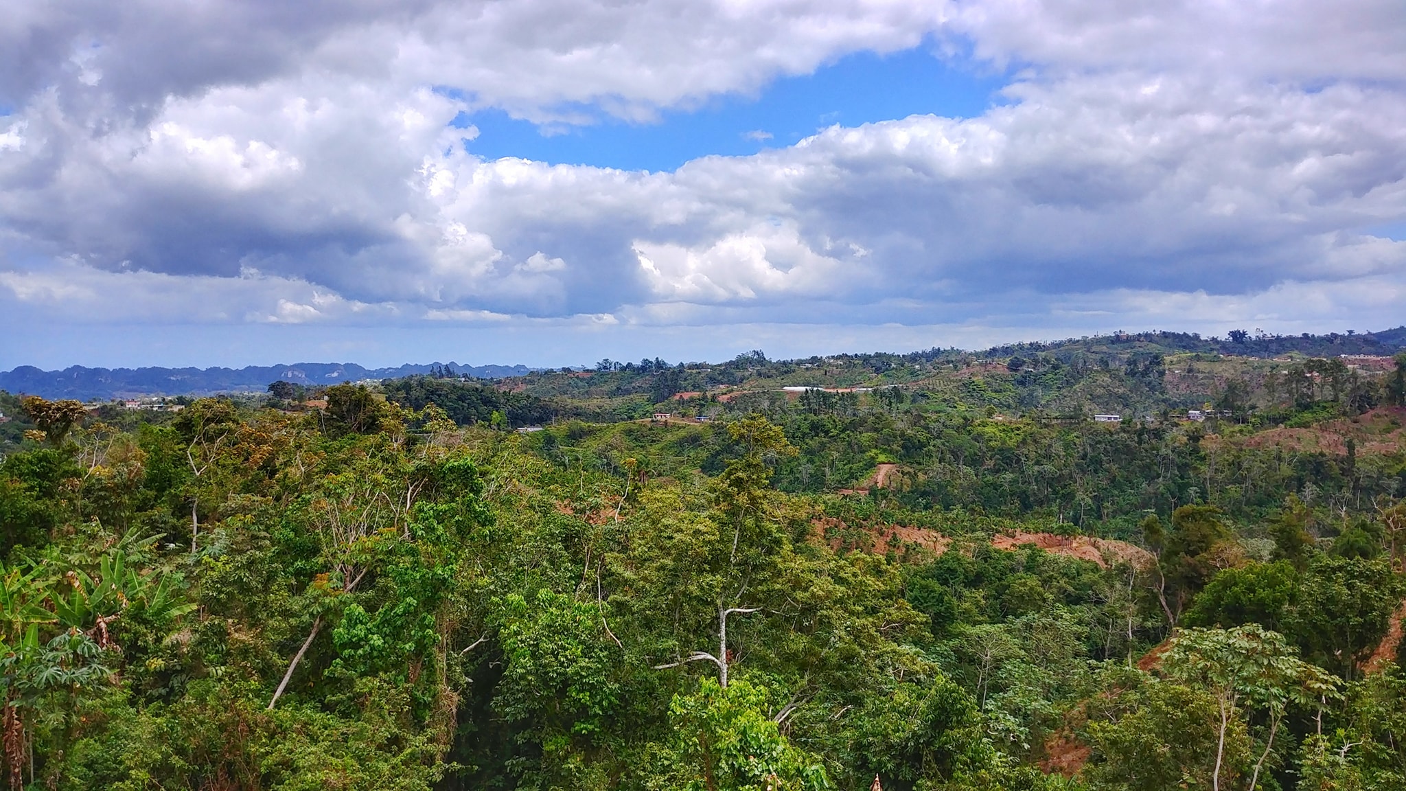 Barrio Buenos Aires, Lares, Puerto Rico — the western Cordillera Central, the district associated with the Alto Grande brand, 2019
