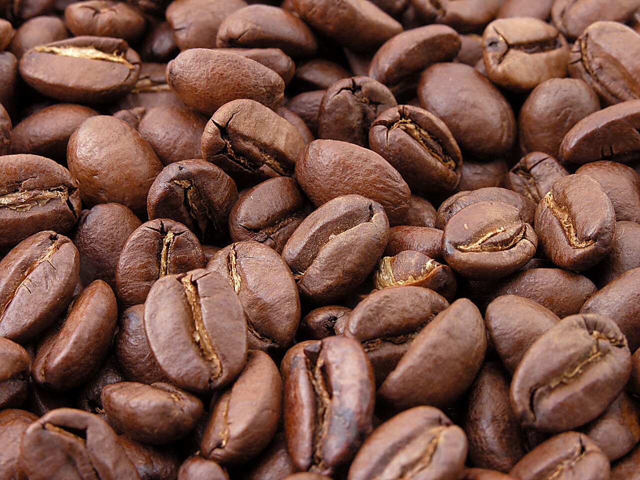 Roasted coffee beans, close up