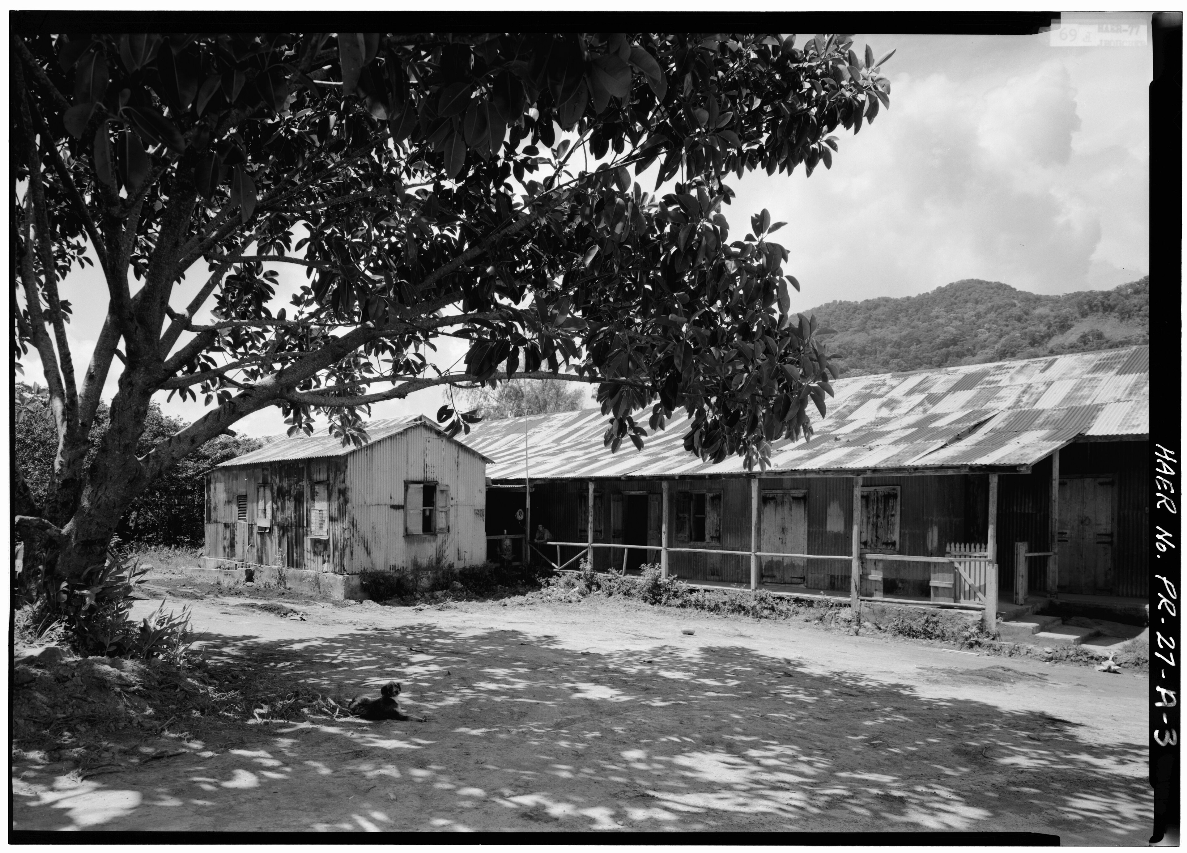 Coffee mill at Hacienda Santa Clara, Barrio Río Prieto, Yauco, Puerto Rico — Historic American Engineering Record survey photograph