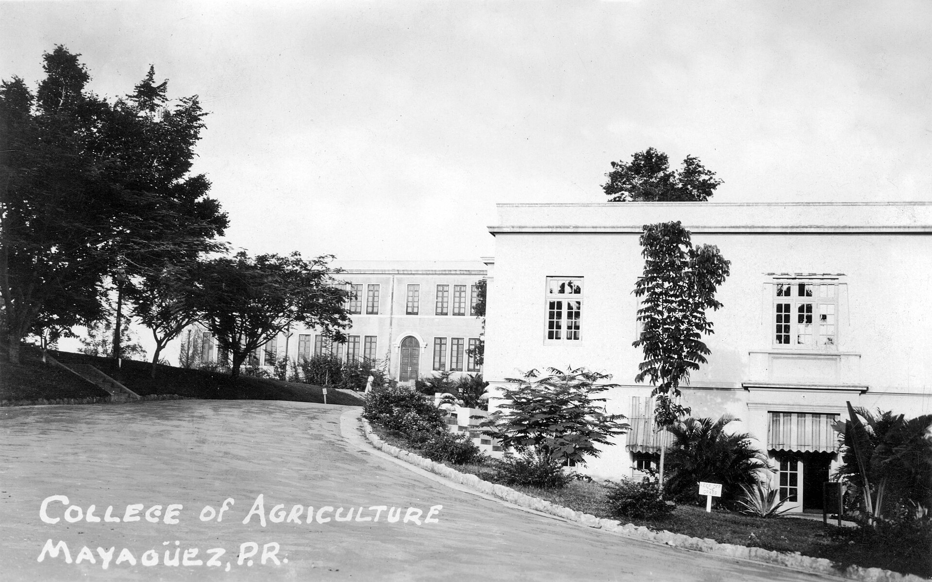 A photographic postcard of the College of Agriculture at Mayaguez, Puerto Rico. The card is undated.