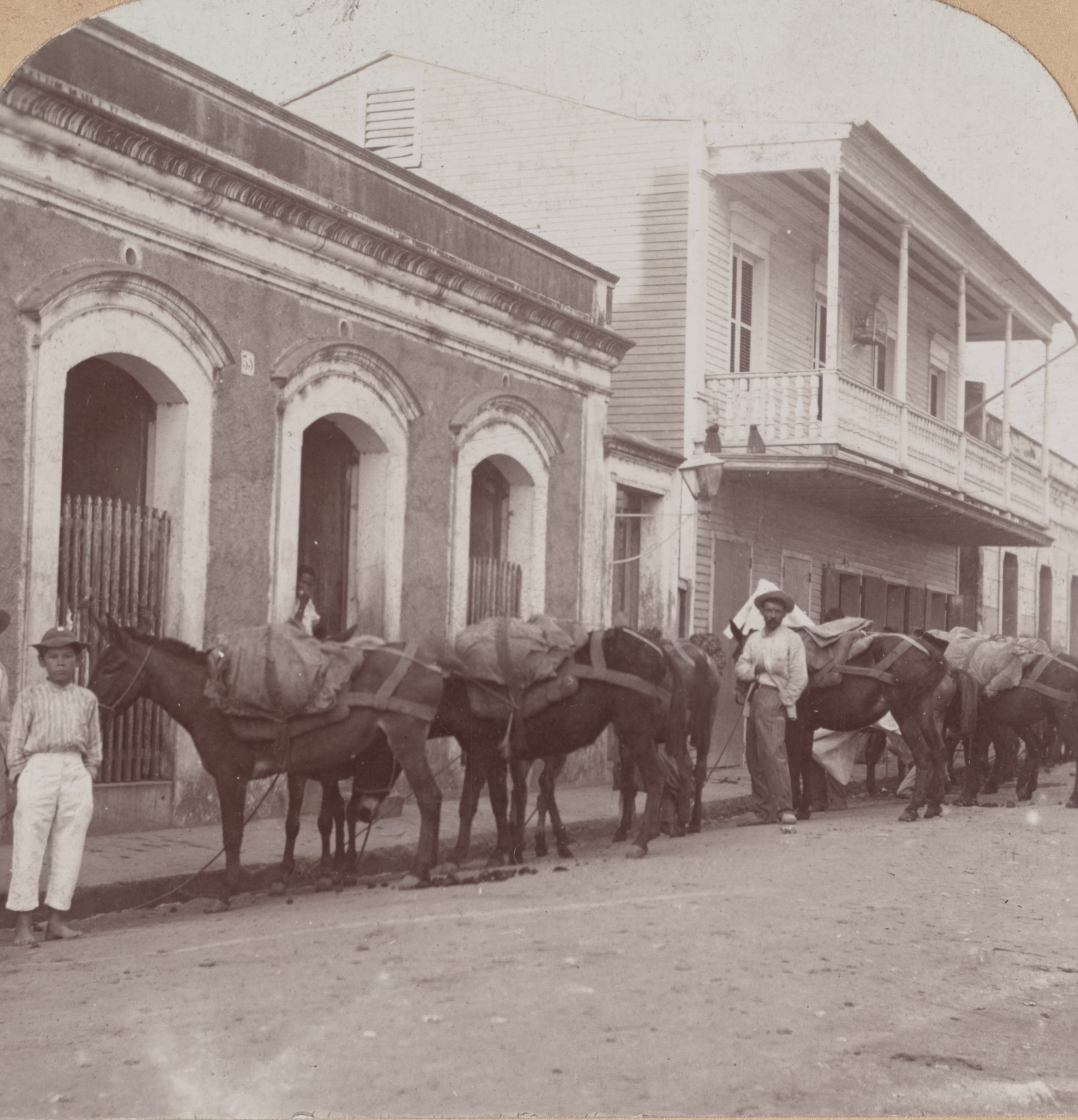 A pack train bringing coffee to town, Puerto Rico, c. 1899